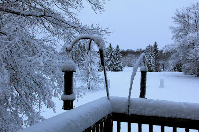 photo of railing, fields and trees under 6 to 8 inches of snow