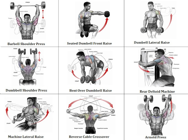 Shoulder Workout 