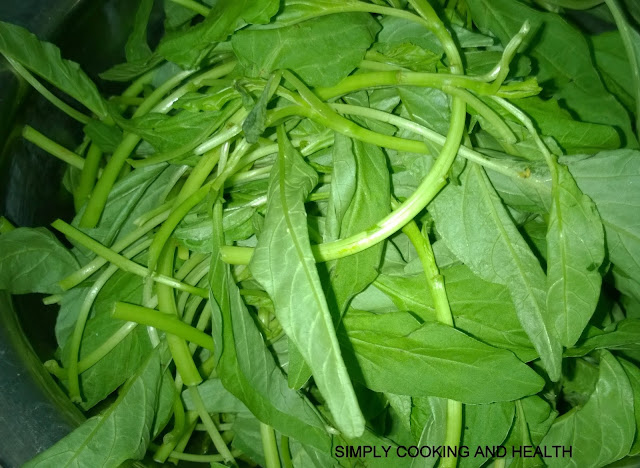 Spinach with leaves and stem