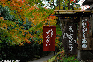 Wooden sign boards at Kozanji Temple, in Kyoto