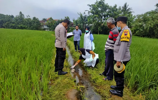 Mayat Bayi Ditemukan di Saluran Air Persawahan Kecamatan Doro