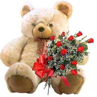 Valentine's Day Teddy Bear