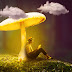 Fantasy Mushroom Photoshop