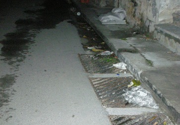 Σκουπίδια - στολισμός 11-12-09 004