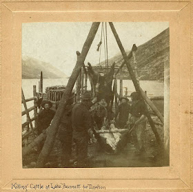 Fotografías de la vida en Alaska a finales del siglo XIX