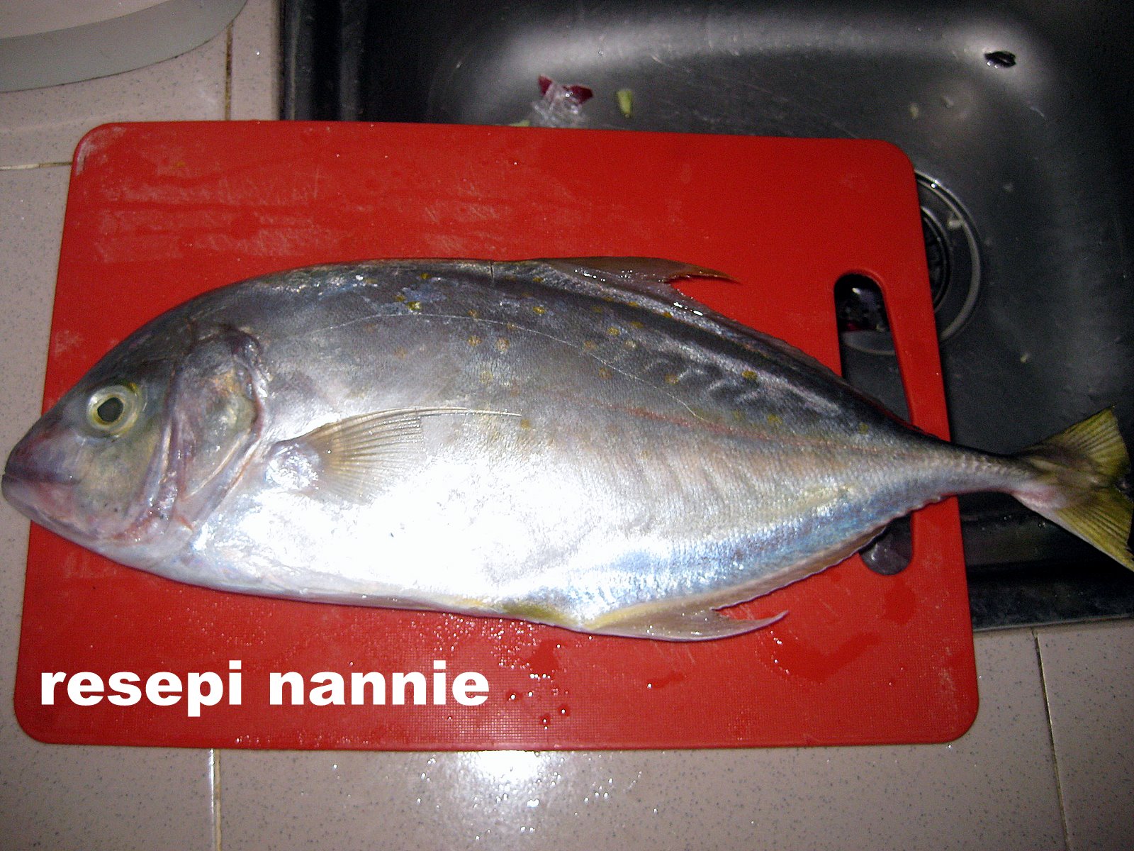 RESEPI NANNIE: Kari kepala ikan nyok-nyok