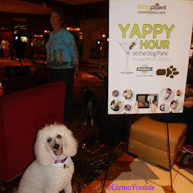 Carma Poodale, white poodle next to the Yappy Hour sign 