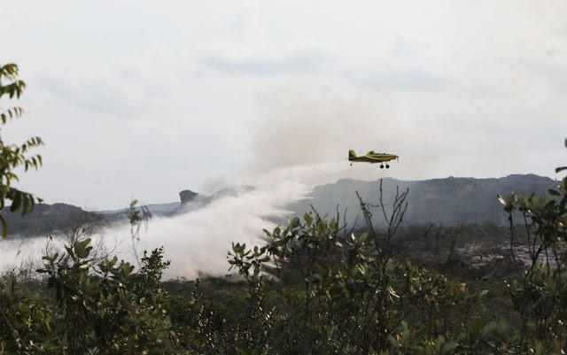 Avião air track lançando água em área atingida pelo incêndio em outubro deste ano na Chapada Diamantina (Foto: Paula Fróes/GOVBA)
