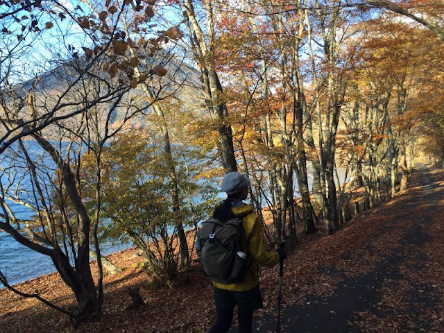 中禅寺湖畔の道