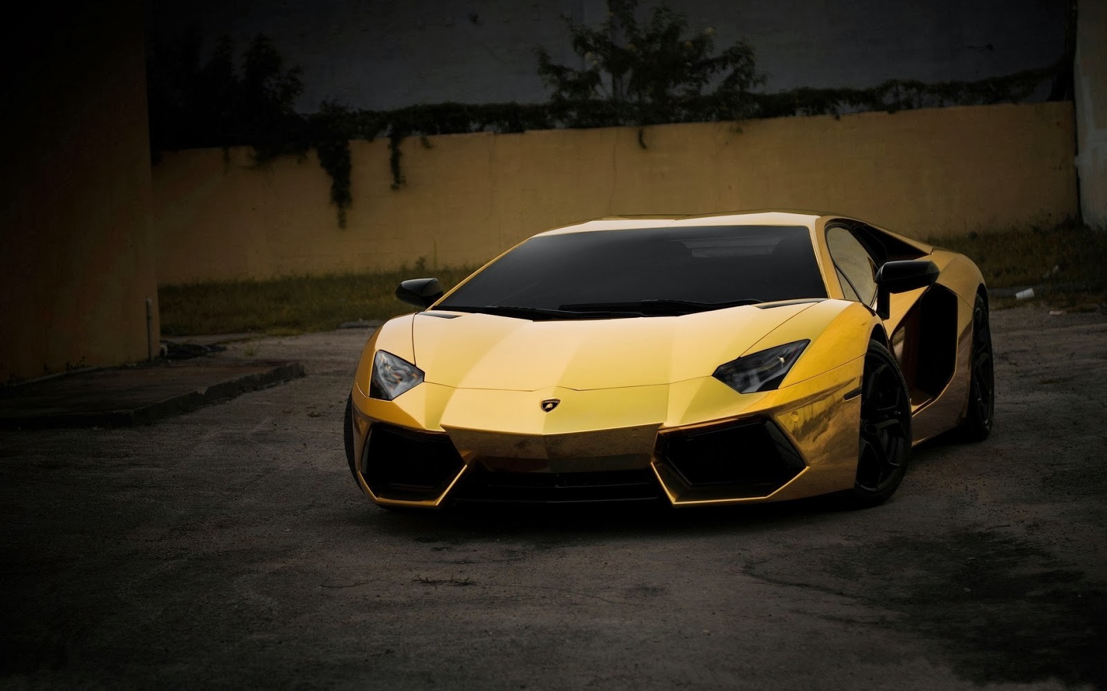 Gold Lamborghini Aventador Exterior Images  Just Welcome 