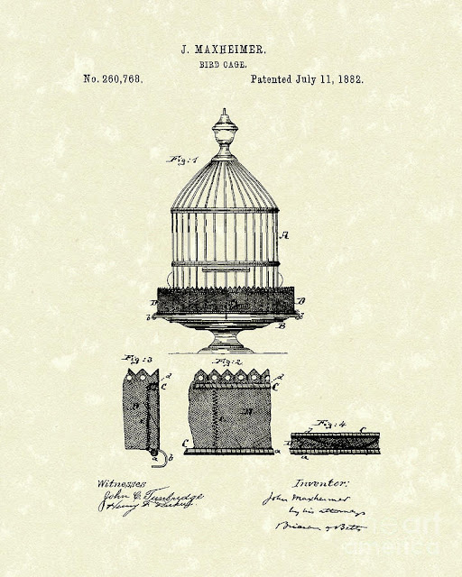 Design Bird Cage