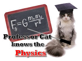 Professor Cat with blackboard and gravity equation