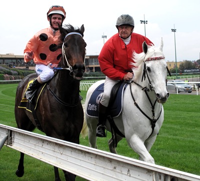 black caviar_post race