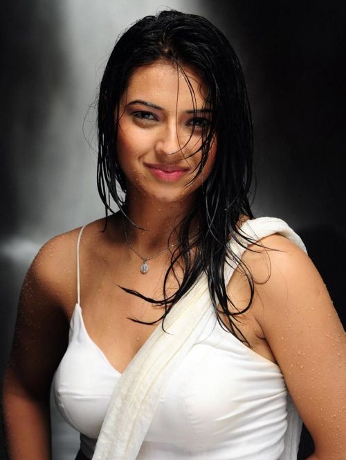 Isha Chawla Hot Saree Photo Stills