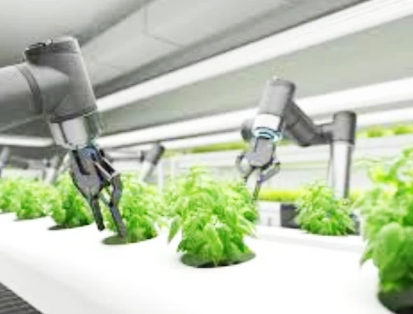 Robotics in China's Agriculture