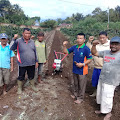 Herman Syukur Pasaribu Penggiat Petani di Dairi Sosialisasi Secara Pribadi 