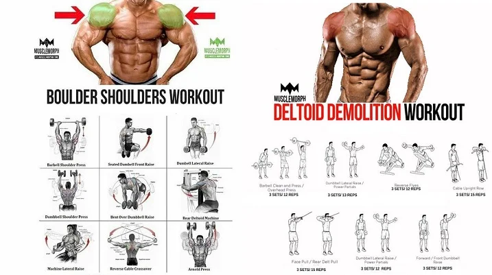 Shoulder Workouts - The Complete Guide To Delts Training