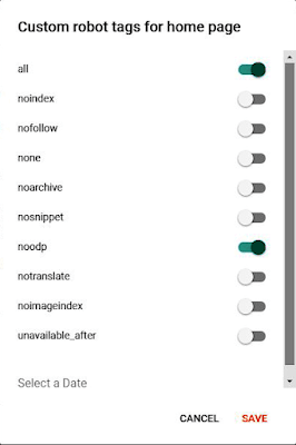 Custom Robots Tags For Home Page