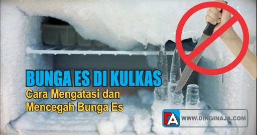 » Penyebab dan Bagaimana Cara Mengatasi Bunga Es pada