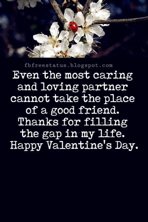 Valentines Day Messages For Friends, Even the most caring and loving partner cannot take the place of a good friend. Thanks for filling the gap in my life. Happy Valentine's Day.