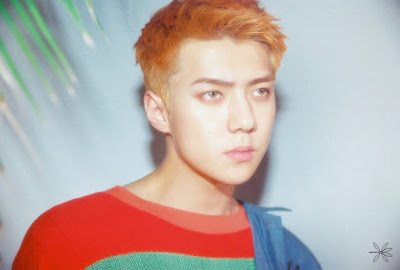 Sehun (세훈)