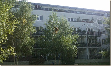 IMAG0054