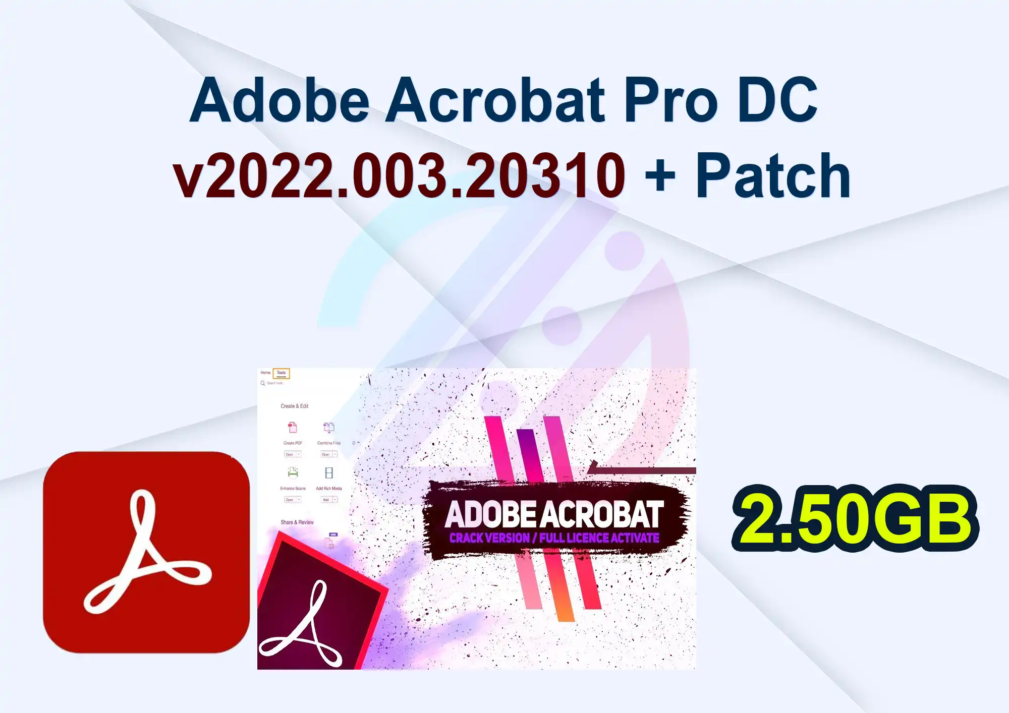Adobe Acrobat Pro DC v2022.003.20310 + Patch