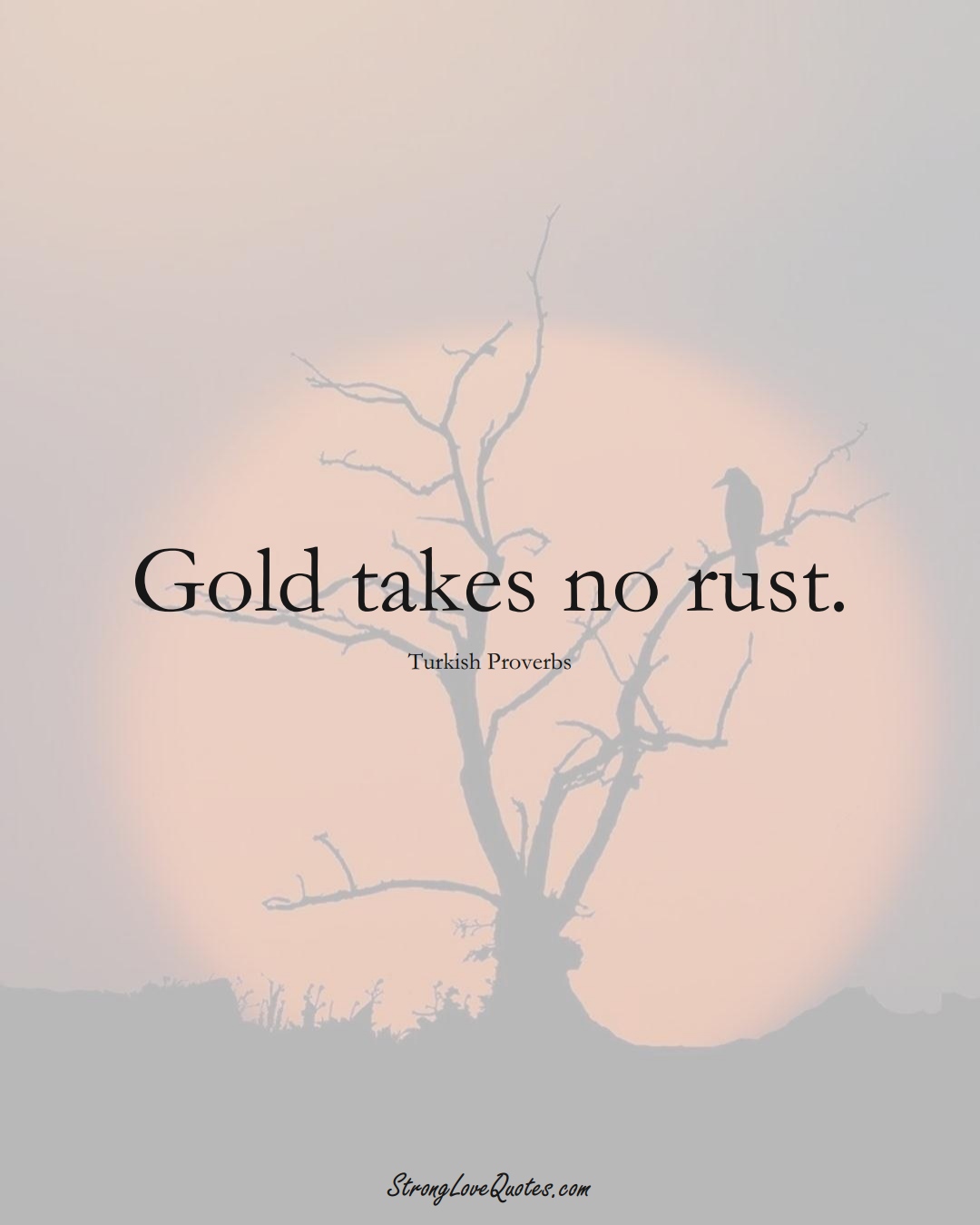Gold takes no rust. (Turkish Sayings);  #MiddleEasternSayings