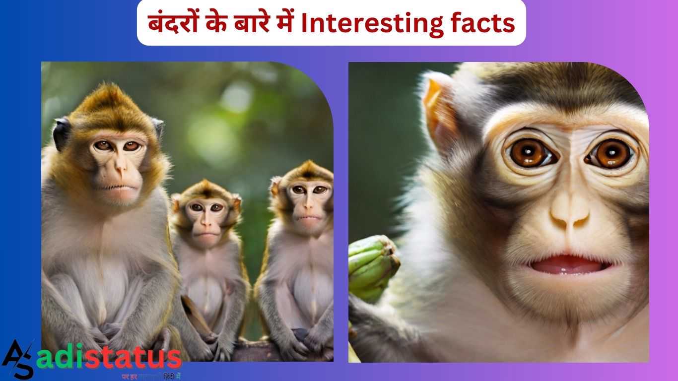 About Monkey In Hindi