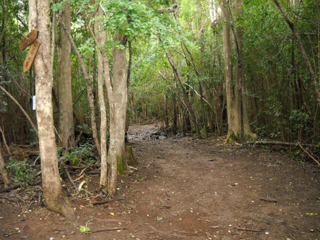 DSCN4055_2