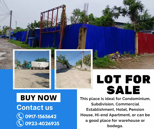 Perfect for your Business Commercial Lot in Mandaue City Cebu | Ideal for Commercial Establishment or Warehouse