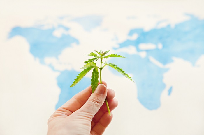 International Laws on CBD legality