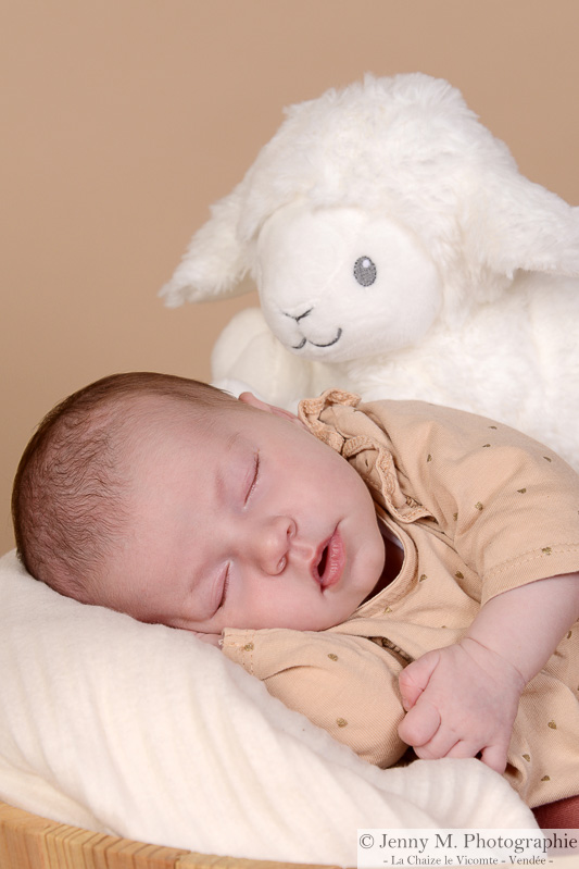 photographe bébé famille maternité vendée 85 st martin des noyers ste cécile