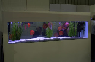 beautiful Aquarium fish tanks