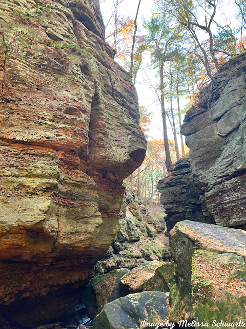 The jagged gorge highlighted with moss and a dash of fall colors was striking at Parfrey's Glen.