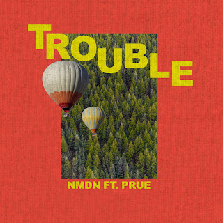 MP3 download NMDN - Trouble (feat. Prue) - Single iTunes plus aac m4a mp3