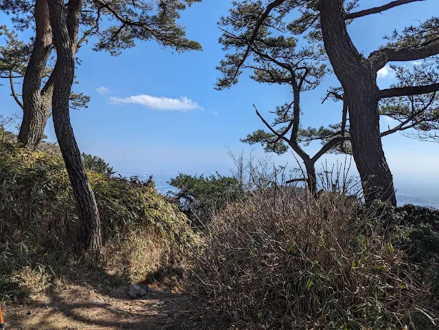 六甲神社の駐車場の所から、東お多福山に向かいます。 延々と坂道を降っていきます。帰りを考えると恐ろしい・・