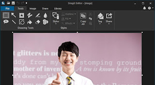 Snagit is a tremendous screenshot capture editor