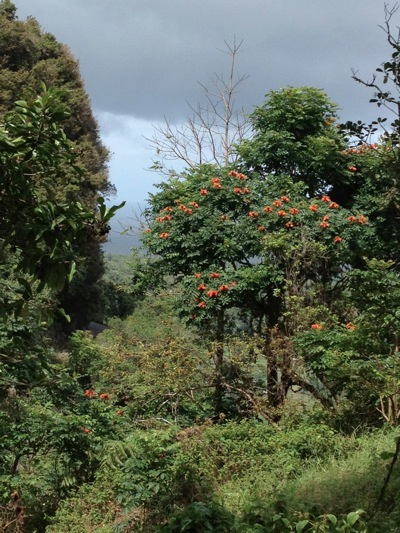 Hawaii13