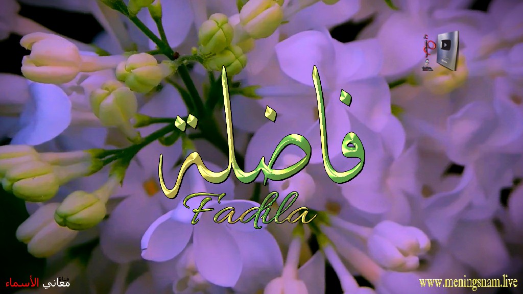 معنى اسم, فاضلة, وصفات, حاملة, هذا الاسم, Fadila,  ما معنى, معنى اسم اسماء, اسماء بنات, اسماء اولاد, معنى اسم محمد,  مريم, ميلا,  ليان, معنى اسم علي, ترجمة,  تيا,  يوسف, عمر,  روان,  ريماس,  يزن,  ميرا, ايلا,  نور,  احمد, مترجم, ليا,  ميرال,  سيليا,  اسيل,  ماريتا,  داليا,  ناي, اسماء بنات من الجنة, معنى اسم عمار, حنين,  وجد,  جوى,  لورا,  بندر, سيليا, ارام,  هتان,  حور,  سناء,  وتين,  ملاذ,  ريمان,  مسك, فريال, مازن, ميان, هند, رهام, ما معنى اسم ليان, معنى اسم ايلا,معنى اسم ليا,معنى اسم ميلا,معنى اسم ليلى,معنى اسم تيا,معنى اسم ليان,معنى اسم يارا,معنى اسم ميرا,معنى اسم يزن,معنى اسم مريم,