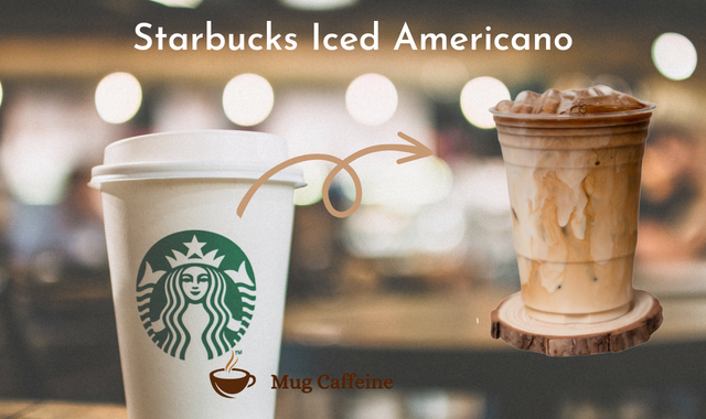 Starbucks Iced Americano