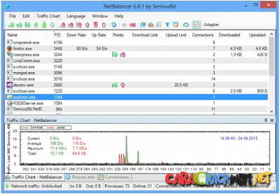 NetBalancer software management bandwidth internet