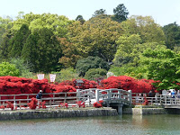 北から眺めた中堤と太鼓橋