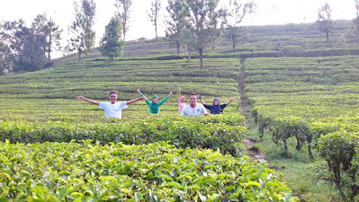 Pariwisata Dunia, Pariwisata Indonesia, Pariwisata Jawa Barat, Puncak Bogor, Ciloto, Gunung Gede Pangrango, Perkebunan Teh, Cisarua Bogor, Istana Bogor, Kebun Raya Bogor, Istana Cipanas