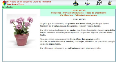 http://www.ceiploreto.es/sugerencias/juntadeandalucia/Costa21/seres/contenidos/plantas0.html