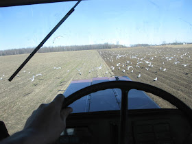 view from inside the tractor, field plowing