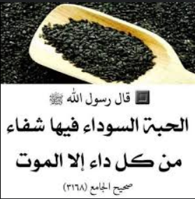 فوائد الحبة السوداء: من الطب النبوي إلى الطب الحديث