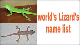 All world lizards scientific name list(छिपकली की प्रजातियां)