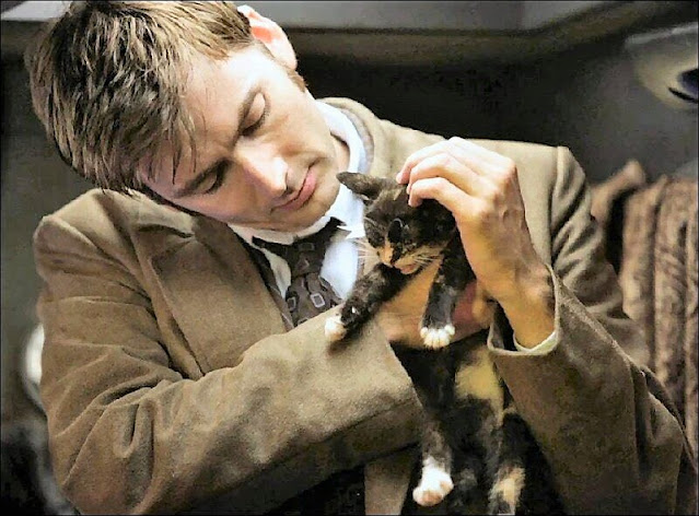 David Tennant and a basket of kittens (video)