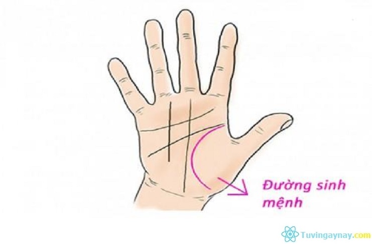 Số mệnh bạn sẽ ra sao nếu có quá nhiều đường chỉ tay?